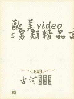 欧美videos另类精品高清