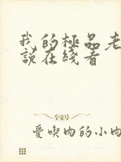 我的极品老婆小说在线看