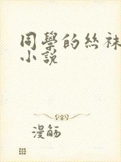 同学的丝袜骚妈小说