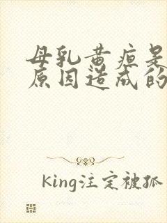 母乳黄疸是什么原因造成的呢怎么治疗