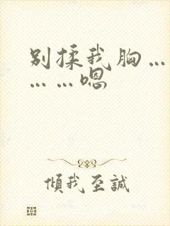 别揉我胸……啊……嗯