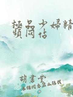 极品少妇精品视频网站