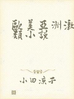 欧美亚洲激情另类小说