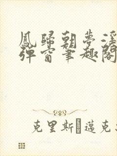 凤归朝梦溪石无弹窗笔趣阁