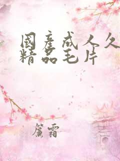 国产成人久久久精品毛片