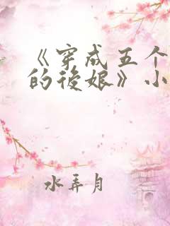 《穿成五个反派的后娘》小说