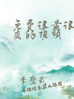 免费很黄很色很爽的视频