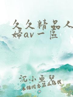 久久精品人妻少妇av一区