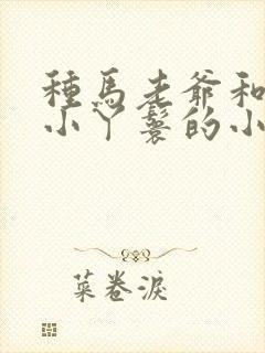 种马老爷和青涩小丫鬟的小说叫什么