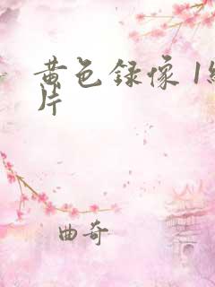 黄色录像 1级片