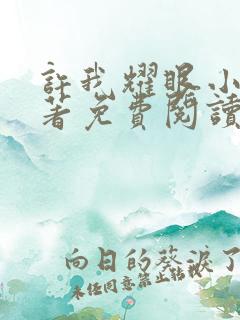 许我耀眼小说原著免费阅读