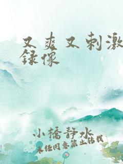 又爽又刺激黄色录像