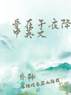 爱在午夜降临前中英文