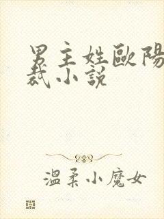 男主姓欧阳的总裁小说