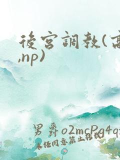 后宫调教(高h,np)