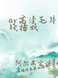 av高清毛片在线播放