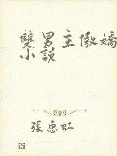 双男主傲娇受的小说