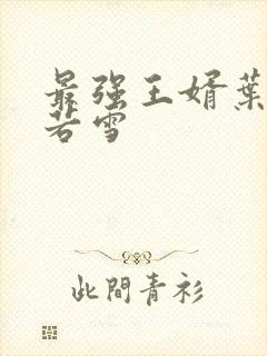 最强王婿叶凡唐若雪