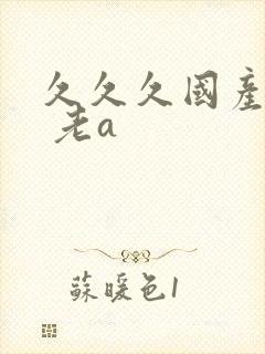 久久久国产精品 老a