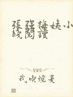 张强梅姨小说在线阅读