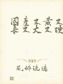 国产又黄又粗又长又大又硬又猛