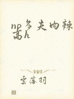 np多夫肉辣文高h