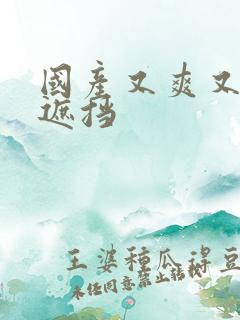 国产又爽又黄无遮挡