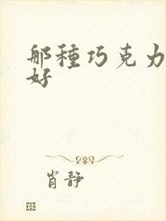 那种巧克力比较好