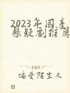 2023年国产悬疑剧推荐