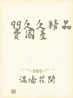 99久久精品免费国产