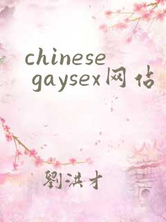 chinese gaysex网站