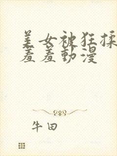 美女被狂揉下部羞羞动漫