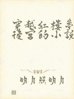 穿越红楼梦猎艳后宫的小说