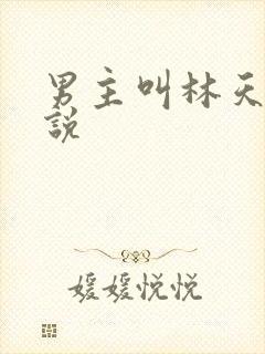 男主叫林天的小说