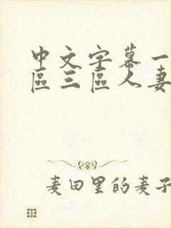 中文字幕一区二区三区人妻大片