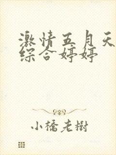 激情五月天亚洲综合婷婷