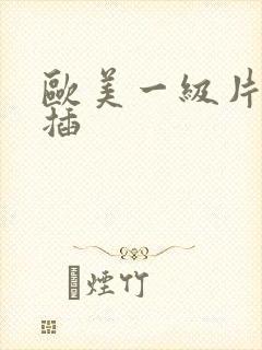 欧美一级片插插插