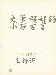 文笔超好的np小说古言