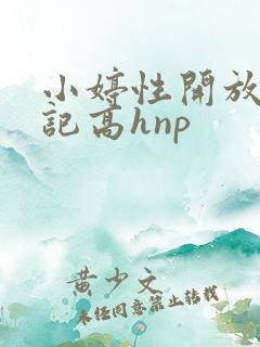 小婷性开放肉日记高hnp