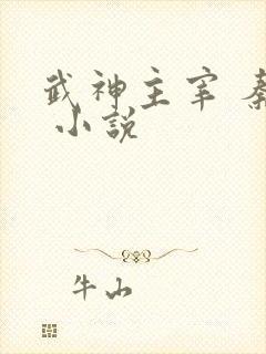 武神主宰 秦尘 小说