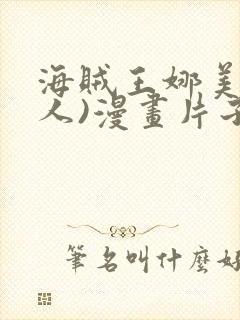 海贼王娜美(同人)漫画片子