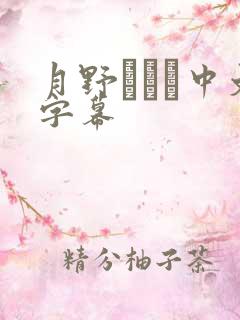 月野ゆりね中文字幕