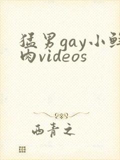 猛男gay小鲜肉videos