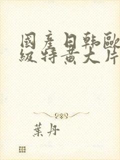 国产日韩欧美一级特黄大片