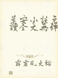 叶安小说免费阅读全文无弹窗