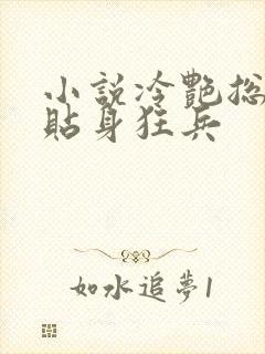 小说冷艳总裁的贴身狂兵