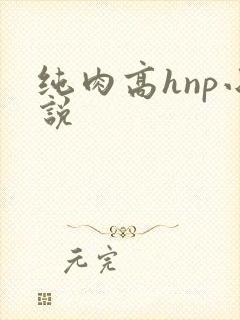 纯肉高hnp小说