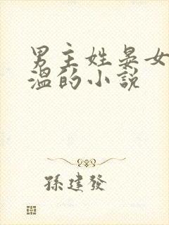 男主姓晏女主姓温的小说