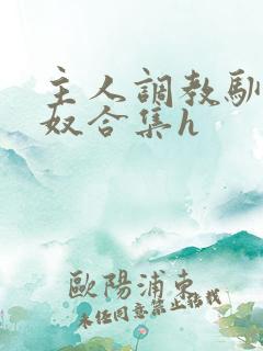 主人调教驯化贱奴合集h