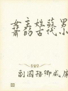 女主姓苏男主姓萧的古代小说